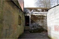 ACG 5874  Photo ACG 2017