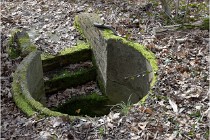 ACG 5881  Photo ACG 2017