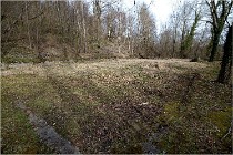 ACG 5883  Photo ACG 2017