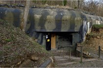 ACG 5887  Photo ACG 2017