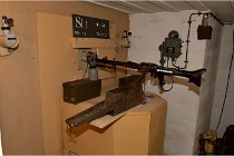 ACG 5894  Photo ACG 2017