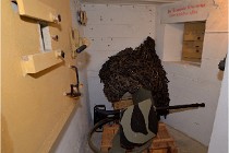 ACG 5896  Photo ACG 2017