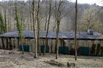 ACG 5897  Photo ACG 2017