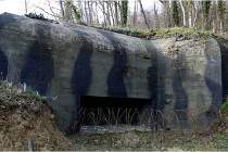 ACG 5898  Photo ACG 2017