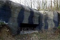 ACG 5899  Photo ACG 2017