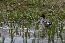 2017-03-14   Grand-Laviers