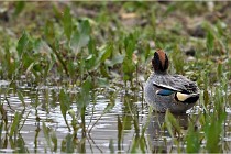 Grd Lavier 17-03-14 0012   Photos ACG 2017