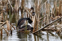 Grd Lavier 17-03-14 0156   Photos ACG 2017