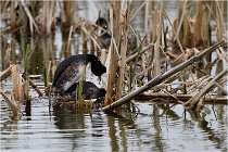 Grd Lavier 17-03-14 0157   Photos ACG 2017