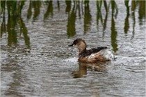 Grd Lavier 17-03-14 0706   Photos ACG 2017