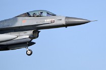 Frisian Flag 17-03-27 00204   Photos ACG 2017