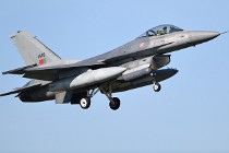 Frisian Flag 17-03-27 00363   Photos ACG 2017