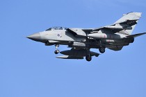 Frisian Flag 17-03-28 01057   Photos ACG 2017