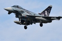 Frisian Flag 17-03-28 01927   Photos ACG 2017