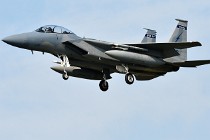 Frisian Flag 17-03-28 01948   Photos ACG 2017