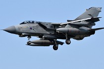 Frisian Flag 17-03-28 02073   Photos ACG 2017