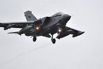 Frisian Flag 17-03-29 01576   Photos ACG 2017