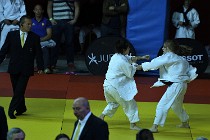 judoParisChamp 17-05-13 161   Photos ACG 2017