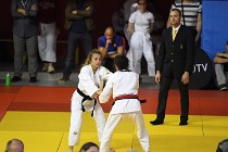 judoParisChamp 17-05-13 362   Photos ACG 2017