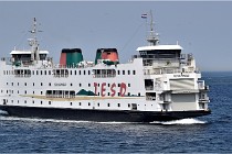 TEXEL HOLLANDE 17-05-22 00300   Photos ACG 2017