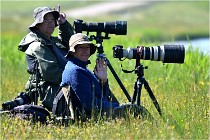 TEXEL HOLLANDE 17-05-27 08150   Photos ACG 2017