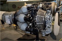 Cugnaux 17-10-01 244   Photo ACG 2017