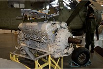 Cugnaux 17-10-01 246   Photo ACG 2017