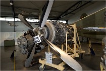 Cugnaux 17-10-01 247   Photo ACG 2017