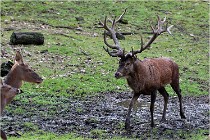 Boutissaint D500 17-10-09 0041   Photos ACG 2017