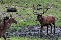 Boutissaint D500 17-10-09 0042   Photos ACG 2017