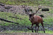 Boutissaint D500 17-10-09 0044   Photos ACG 2017