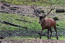 Boutissaint D500 17-10-09 0045   Photos ACG 2017