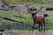 Boutissaint D500 17-10-09 0046   Photos ACG 2017