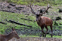 Boutissaint D500 17-10-09 0047   Photos ACG 2017