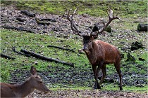 Boutissaint D500 17-10-09 0048   Photos ACG 2017