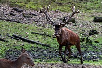 Boutissaint D500 17-10-09 0049   Photos ACG 2017