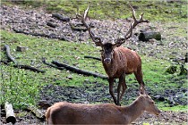 Boutissaint D500 17-10-09 0050   Photos ACG 2017