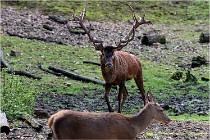 Boutissaint D500 17-10-09 0051   Photos ACG 2017