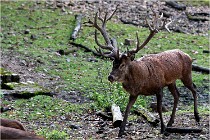 Boutissaint D500 17-10-09 0056   Photos ACG 2017