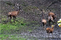 Boutissaint D500 17-10-09 0069   Photos ACG 2017