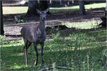 Boutissaint D500 17-10-09 0078   Photos ACG 2017