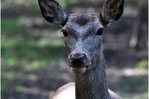 Boutissaint D500 17-10-09 0091   Photos ACG 2017