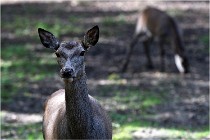 Boutissaint D500 17-10-09 0092   Photos ACG 2017