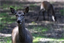 Boutissaint D500 17-10-09 0093   Photos ACG 2017