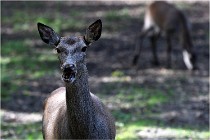 Boutissaint D500 17-10-09 0094   Photos ACG 2017