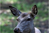 Boutissaint D500 17-10-09 0097   Photos ACG 2017