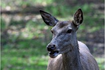 Boutissaint D500 17-10-09 0099   Photos ACG 2017