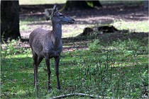 Boutissaint D500 17-10-09 0102   Photos ACG 2017