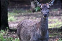 Boutissaint D500 17-10-09 0108   Photos ACG 2017