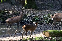 Boutissaint D500 17-10-09 0124   Photos ACG 2017